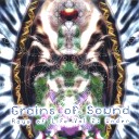 Grains of Sound - We Will Be Our Aliens