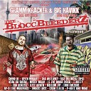 Gramm Kracker Big Havikk feat Jt the Bigga Figga Ap… - Nothin 2 a Boss feat Jt the Bigga Figga Ap 9