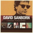 David Sanborn - All I Need Is You Edit