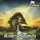 Mikhail Dzedevich - River Sounds and Bird Signing for Deep Sleep