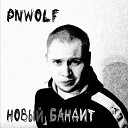 PNWolf - Вступление новый бандит