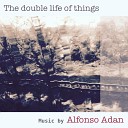 Alfonso Adan - Flies