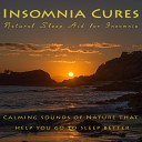 Insomnia Cures - Tropical Thunderstorm (feat. Australian Nature Sounds, Wild Eden & Dr Eric Fassbender)