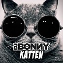 DJ Bonny - Katten
