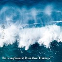 Steve Brassel - The Easing Sound of Ocean Waves Crashing Pt 1