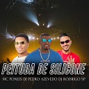 MC Poneis Dj pedro azevedo DJ RODRIGO SP - Peituda de Silicone