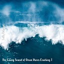 Steve Brassel - The Easing Sound of Ocean Waves Crashing Pt 1