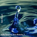 Steve Brassel - Water Sounds for Stress Reduction Pt 12