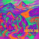 Sally Gillispie - Raging Sea