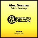 Alex Norman - Rain in the Jungle Original Mix