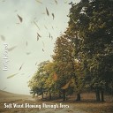 Steve Brassel - Soft Wind Blowing Through Trees Pt 10