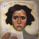 Walter the Orange Ocean - You Can Only Look