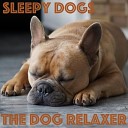 The Dog Relaxer - Relaxing Music for Dogs
