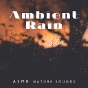 Relaxing Nature Sounds Collection - Rain Melody for Sleep