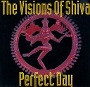 The Visions Of Shiva - Perfect Morning
