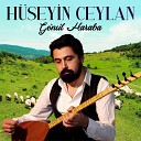 H seyin Ceylan - Seni Seven Sevmesini Bilmemi