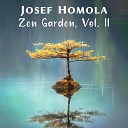 Josef Homola - Living in the Moment