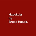 Bruce Haack - Play Me Your Album