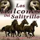 los Halcones Del Salitrillo - Valentin de la Sierra