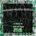 DJ Tralha 011 feat Mc Pogba - Montagem Mel dia Sint tica