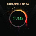 DJ Kapral Osya - Numb