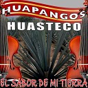 Los Camperos De Hidalgo - Tu Enamorado