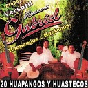 Grupo Versatil Hermanos Gabriel - Alegria en la Huasteca