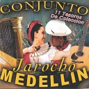 Jarocho Medellin Conjunto - La Rana