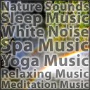 Nature Sounds With Music for Meditation Music for Yoga White Noise and Music for Sleep and Baby… - Woodland Forest Streams With Gentle Birds Singing Accompanying Relaxing Singing Bowls for Yoga and Zen…