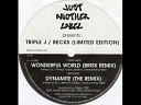 TRIPLE J - WONDERFUL WORLD BRISK MIX