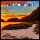 Sleep Music for Babies Instrumental Ambient - Wonderful Healing Music for Dog Barking