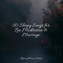 Serenity Spa Music Relaxation Sound Sleeping Tonal Meditation… - Relax and Unwind