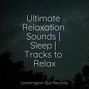 Healing Sounds for Deep Sleep and Relaxation Musica Para Dormir y Sonidos de la Naturaleza Sonidos de lluvia para… - Take a Break