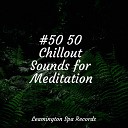 PowerThoughts Meditation Club Spa Music Collective The Relaxation… - Tranquil Binaural Sounds