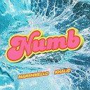 Marshmello - Numb DJ YUKI Remix
