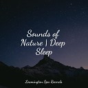 Relaxing Mindfulness Meditation Relaxation Maestro Study Zone Guided… - Lullabies for Sleep