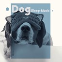 Calm Sleep Through the Night - Sleeping Music for Your Dog
