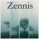 Zennis - Инцидент