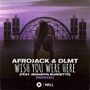 Afrojack DLMT feat Brandyn Burnette - Wish You Were Here feat Brandyn Burnette Karim Meknassi…