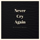 Archipelington - Never Cry Again Radio Edit