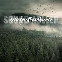 Elijah Wagner - Deep Forest Ambience Pt 4