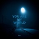 zx724 - You Are My World