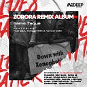 Ramsteque feat Kosha ZA Tshego Tmm VencerCafe - Zorora C Black Mashed up Remix