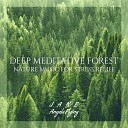 Jane Angela Flying - Deep Meditative Forest