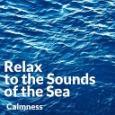 Sea Dreams Music Universe - Swim in the Sea