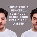 Deep Sleep Music Maestro - Night Animal