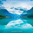 Universe of Nature Orchestra - Walk in the Downpour