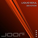 Liquid Soul - Devotion The Digital Blonde Remix