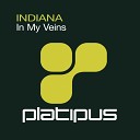 Indiana - In My Veins Original Mix