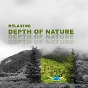 Zen Soothing Sounds of Nature - Feel the Calmness